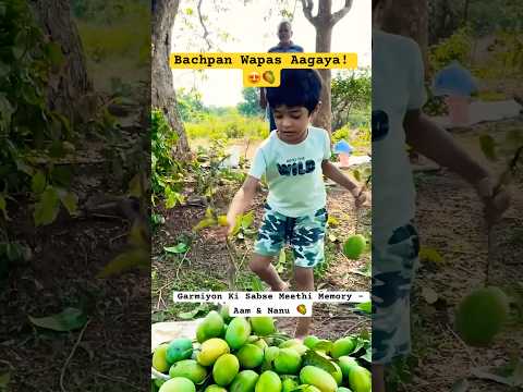 Chhota sa vlog, par dil bhar gaya!Nanu ke saath aam todhna. Share if u miss ur childhood summer too!