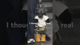 The Coolest Kitty Ive Ever Seen