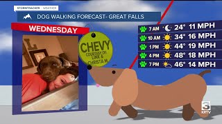 Dog-Walking Forecast March 19, 2025