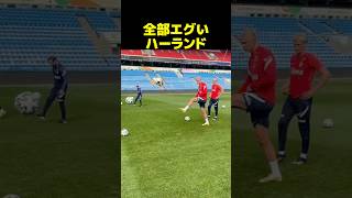 全部エグいハーランド