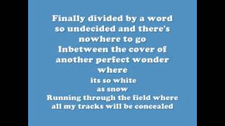 Red Hot Chili Peppers - Snow (Hey Oh) Lyrics