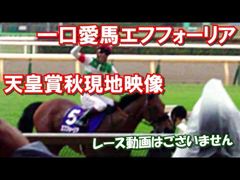 【一口馬主】所有愛馬エフフォーリア 2021年GⅠ天皇賞(秋)優勝 応援現地映像