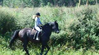 Horse Riding, All 5 Yrs Together Horse Riding, All 5 Yrs Together