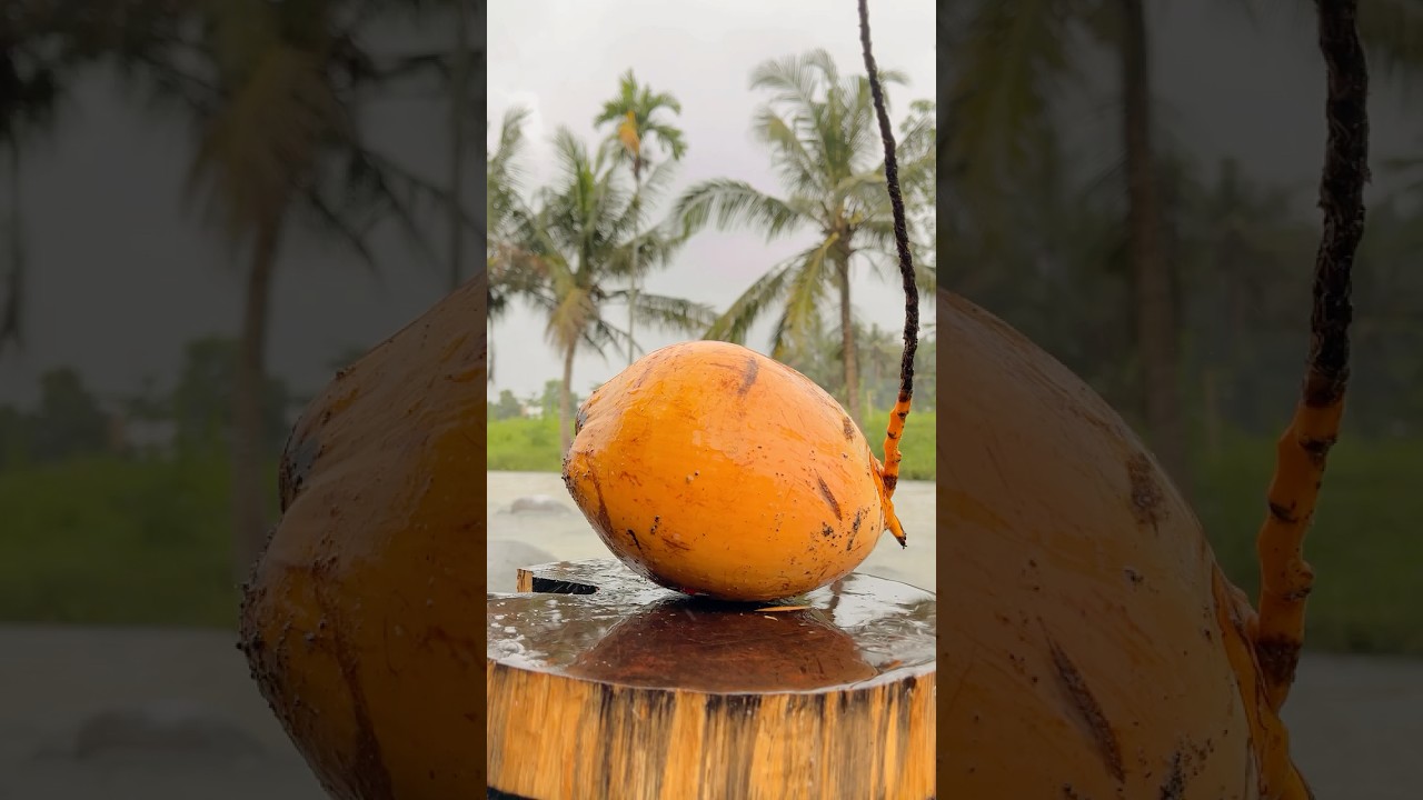 Spectacular Coconut Cutting Skill 
