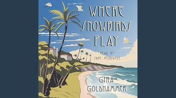 Chapter 67 - Where Snowbirds Play
