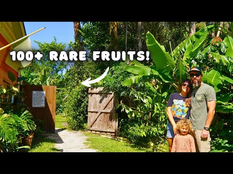 This Hurricane Proof Food Forest Grows 100+ Rare Fruits Near The Beach!