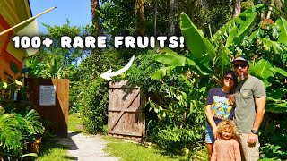 This Hurricane Proof Food Forest Grows 100+ Rare Fruits Near The Beach!