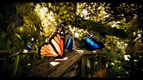 Unity - Mossy Forest Environment Pack