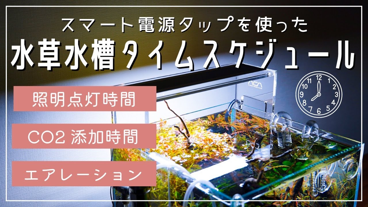 #46【アクアリウム】水草水槽の時間管理実例・水草水槽照明時間・CO₂添加時間・エアレーション開始タイミング・熱帯魚の照明時間・水草水槽タイムスケジュール・スマート電源タップ・適正時間・水草水槽ライト