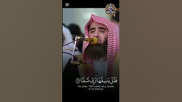 القارئ محمد اللحيدان #القرآن_الكريم #اكسبلور