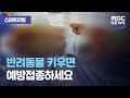 [스마트리빙] 반려동물 키우면 예방접종하세요 (2020.09.24/뉴스투데이/MBC)