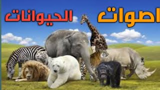 تعرف على اصوات الحيوانات الاكثر من رائعه &Learn the animal sounds the most wonderful