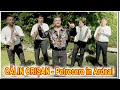 Calin Crisan - Melodii de petrecere - Colaj 2021