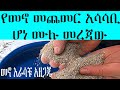 የዶሮ መኖ ዋጋ መጨመር አሳሳቢ ሆኗል መፍትሄውስ 