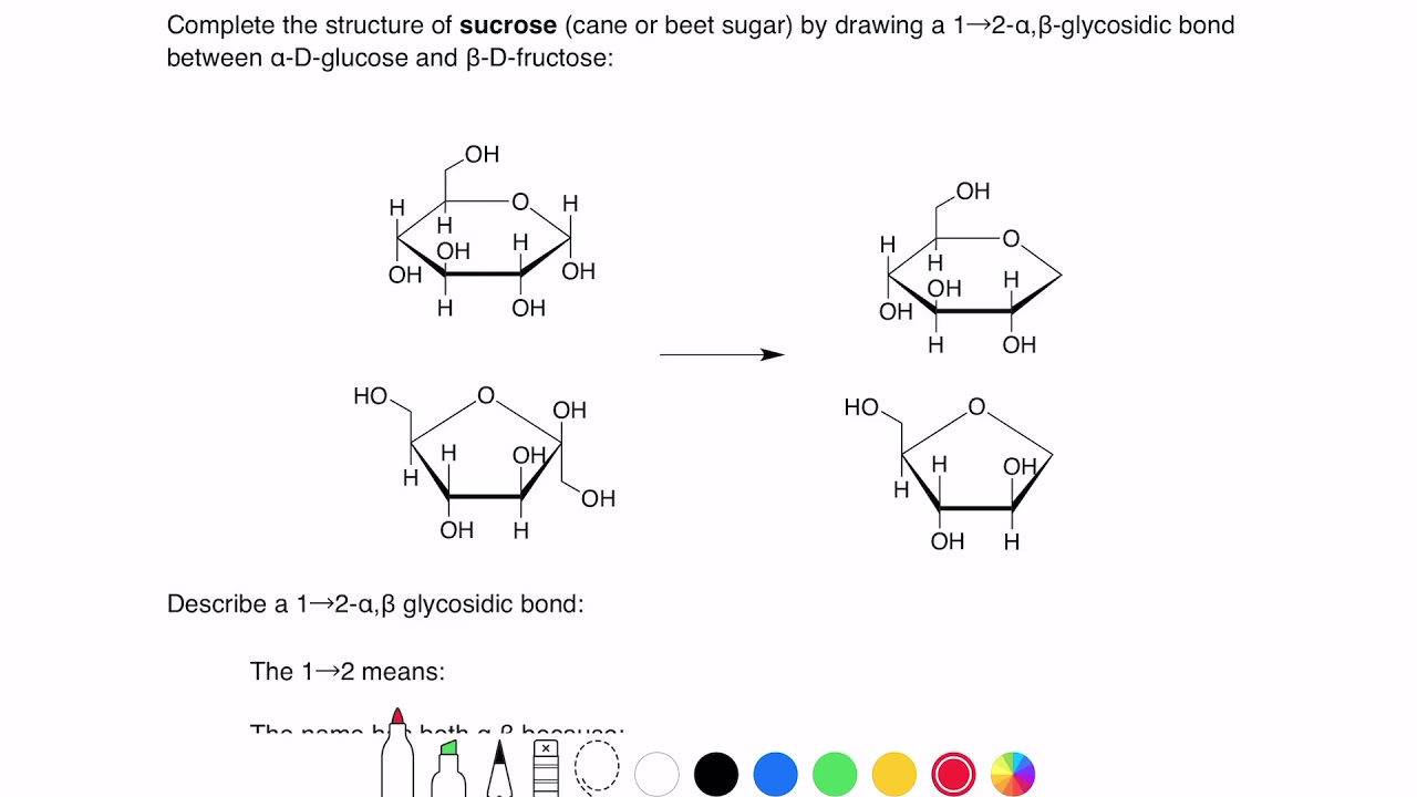 20.5 Sucrose - YouTube