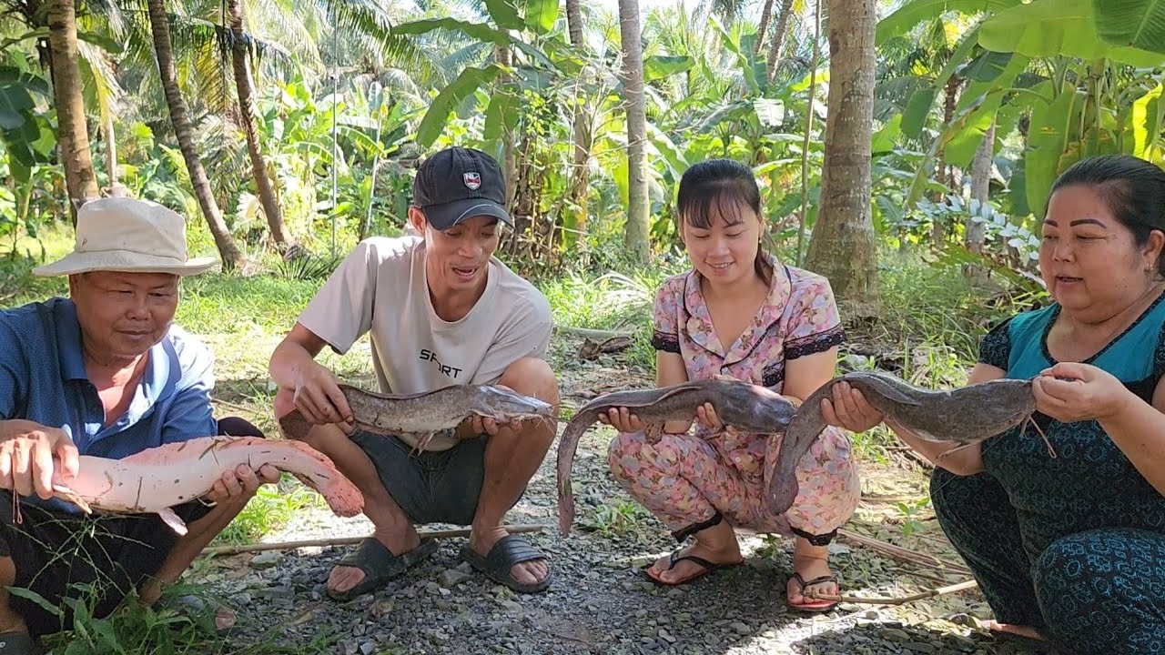Vật Lộn Cả Buổi Mới Lôi Lên Được 4 Anh Trê Khổng Lồ Đem Về Nhúng Giấm | BQCM & Family T578