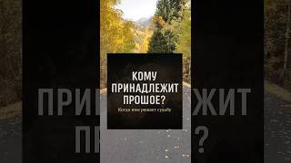«Я не журналист — я просто считаю, что правду надо говорить громче, чем шум»