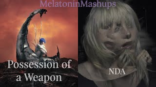 Possession of a Weapon X NDA - MASHUP - Ashnikko X Billie Eilish Resimi