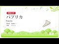 【オカリナ】パプリカ／Foorin【楽譜あり】 Paprika - Foorin [Ocarina]