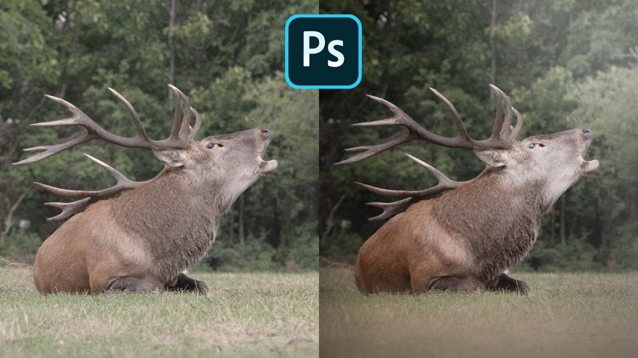 PHOTOSHOP - Quello che devi sapere-