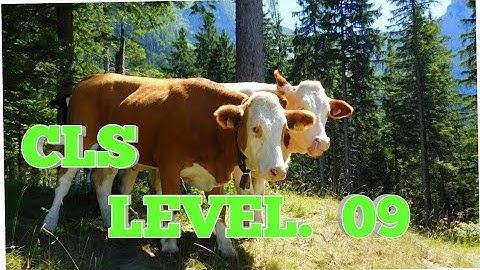 BS CLS 09 TAKE A CHALLENGE