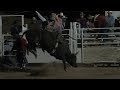 Gray&#39;s N Hood&#39;s Bull Riding