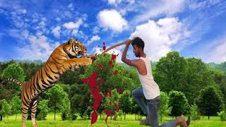 Caught on Camera: Shocking Tiger Attack on Man in the Forest