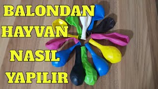 Balon dan Hayvan Yapımı