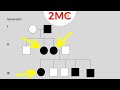 Decoding Inheritance Patterns Through Pedigree Analysis