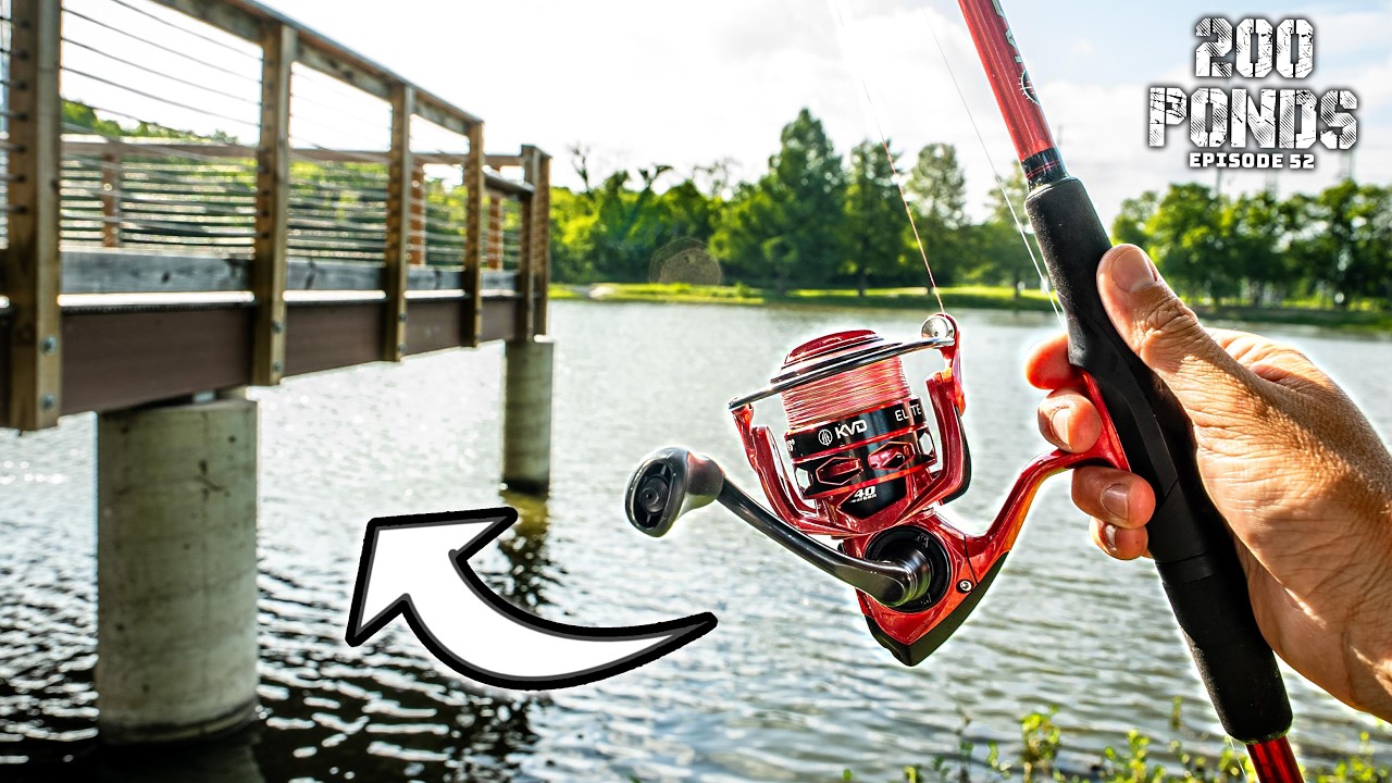 Fishing A Public Pier For PRESSURED Bass! (“200 Ponds” Ep. 52)