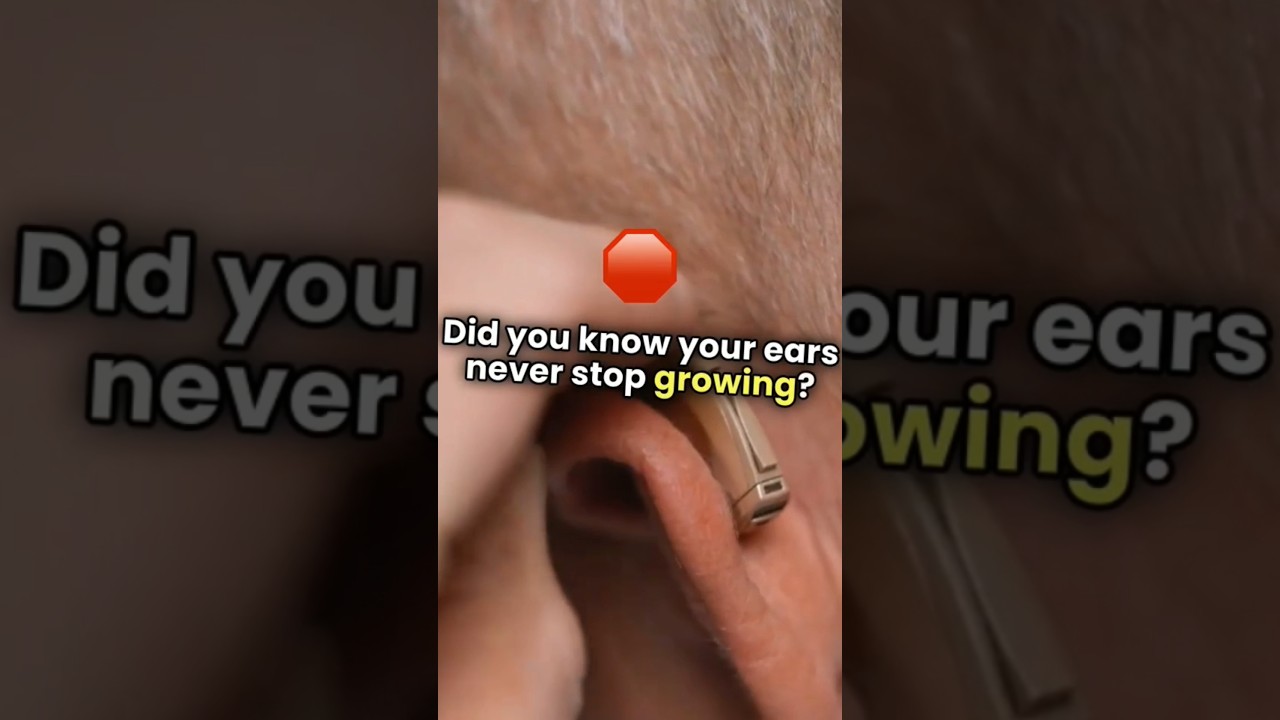 Your Ears Never Stops Growing 
