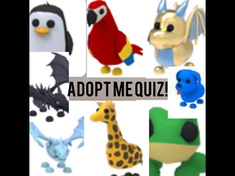 How addicted are you to adopt me? -Adopt me quiz - YouTube