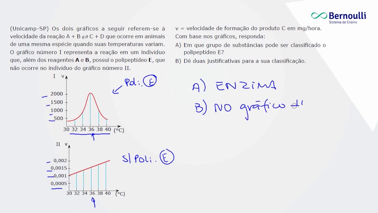 Rn4o Biologia Youtube