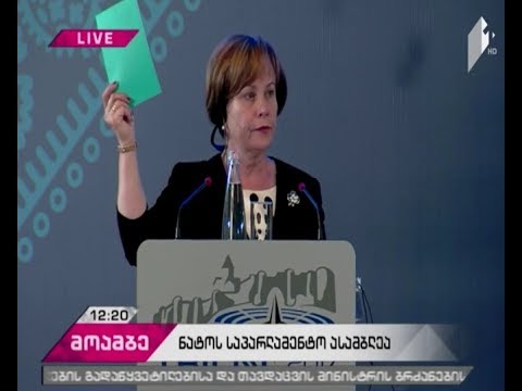 ნატო-ს საპარლამენტო ასამბლეამ საქართველოს მხარდამჭერი დეკლარაცია მიიღო