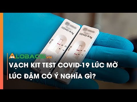 Vạch Kit Test Covid-19 Lúc Mờ Lúc Đậm Có Ý Nghĩa Gì? - Youtube