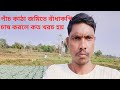 বাঁধাকপি চাষ 🔥🔥//Voice of Adibasi Santali Vlogs 2024
