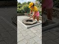 Turning Egg Cartons Into a Luxury Concrete Planter! 🥚💎