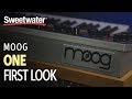 Moog One - First Look with Daniel Fisher