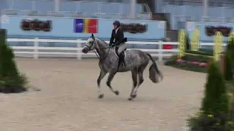 Video of WISTFUL ridden by STACEY MCFADDEN from Sh...