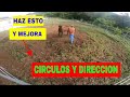 Que hacer para mejorar CIRCULOS y DIRECCION en un caballo... (SERIE dia 40 parte 1) trabajo de piso