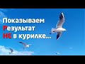 СТРАТЕГИЧЕСКИЕ РЕЗУЛЬТАТЫ ЛИЧНОСТИ...