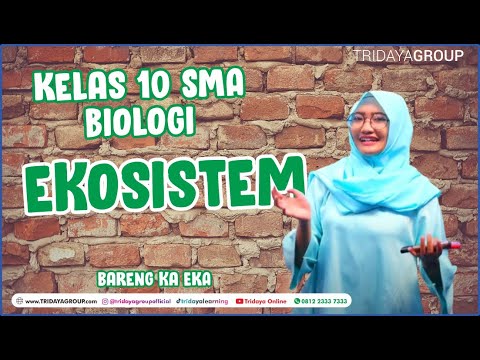 Video: Apakah dua faedah ekologi yang lebih besar daripada kepelbagaian biologi?