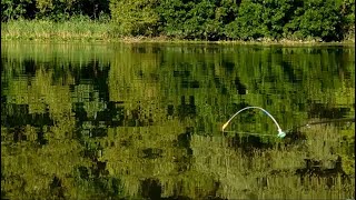 видео: 🇺🇦Ловля карася на перловку и РВАНОГО ЧЕРВЯ на боковой кивок с летней мормышкой картинка: 🇺🇦Ловля карася на перловку и РВАНОГО ЧЕРВЯ на боковой кивок с летней мормышкой