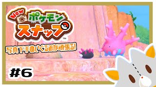 【Ｎｅｗポケモンスナップ】写真下手くそぬいぐるみが行くポケモンスナップ！＃6