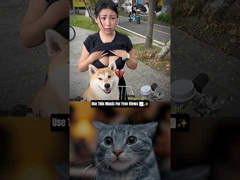 hahaha #tiktoktrend #cat #jumpstyle