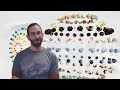 Evolution of materials  interview with artist ian trask