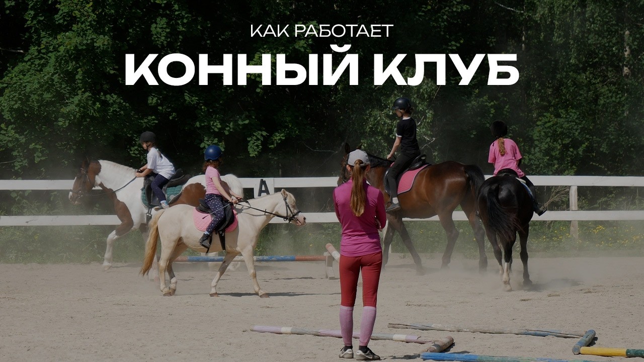 КОННЫЙ КЛУБ 🐎 Работа КСК Зимой и Летом | Бизнес на верховой езде. Конноспортивный клуб Вольный Ветер