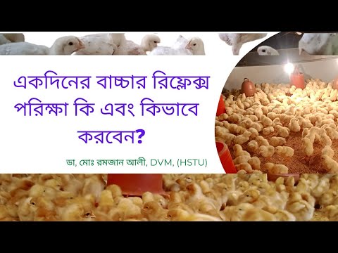 ভিডিও: একটি প্রতিকার পরীক্ষা কি?