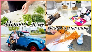 картинка: Мотивация на дела в доме Как сохранить зелень свежей Новые покупки 🛍️ 