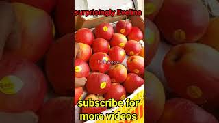 surprisingly Evelina juicy apples 🍎 surprisingly Evelina juicy apples 🍎